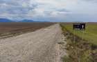 Carpinis, 10000mp-arabil, 25000euro - 1
