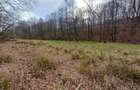 Resita, Teren Drept Intravilan, Langa Prau si Drum, Parcelabil, 4500 Mp., 15 Eur - 13