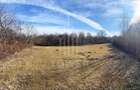 Teren intravilan 2.295 mp, deschidere 60 m – Rășinari, comision 0% - 9