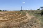 57 Hectare Teren centura cu front 485 ml pretabil parc logistic - V5480 - 3