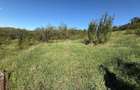 Exclusivitate ! Com 0%! Teren extravilan la intrare in Pata 800mp+200mp drum - 2