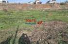 Teren intravilan 2900 mp pretabil P+3 zona Cetate - 1