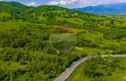Teren 1ha Valea Glăjeriei - Rasnov | Comision 0% - 5