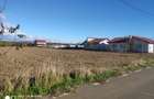 Snagov Ghermănești 4000 Mp Teren de v&acirc;nzare L3 S+P+1E+M LIDL Ieșirea Spre A3 - 12