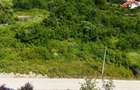 Teren de Vânzare 1450mp la asfalt - Plopii Fără Soț - Bucium, Iași - 5
