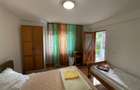Cabana/Vila de inchiriat Valea Budului, Margineni - 26