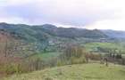Domeniu de 7 ha in Apuseni - Criscior, Hunedoara - 5