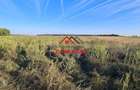 Teren extravilan in Urleta--5000m--18.500e - 5