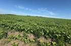 Teren intravilan, 758mp, 39m deschidere, platoul Beldiman! - 1