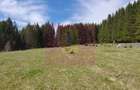 Teren intravilan 2500 mp in Valea Doftanei - 4