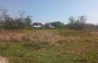 Teren 100Omp, Clinceni, Str Rozelor - 6