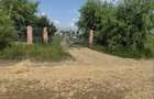TEREN INTRAVILAN DE VÂNZARE – 3.015 MP – TUNARI– IDEAL INVESTIȚIE,DEZVOLTARE - 6