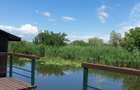 Dimineți pe ponton, seri la piscină – viața la Snagov - 3