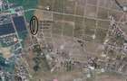 Ocazie! Visan TEREN 1616mp intravilan lot pt constructie casa - 7