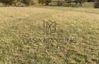 O oportunitate care îți atinge sufletul: Teren de vis la ieșirea din Rășinari - 6