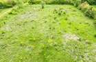 Snagov /Terenuri Parcelate langa Padure cu Utilitati/  Canalizare/ 500-2500 Mp - 2