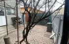 Casa de Vanzare cu teren spatios,zona Pantelimon-Delfinului,langa Mega Mall&Lac; - 21