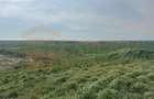 Teren intravilan 10.000 mp | DN | Zona Volvo - Hala Neagră - 2