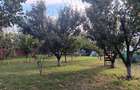 Dorobant VILA D+M+Pod  SU = 200mp  TEREN 1200mp amenajat (pot locui doua familii - 4