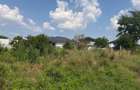 Teren intravilan, 500 mp, zona Preajba - Smart Pub - 1