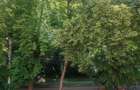 Casă individuală, 350 mp, zona Parcul Regina Maria - 1