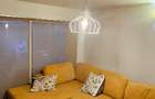 Apartament de inchiriatProprietar, inchiriez ap. 3 cam Popa Sapca, toate dotaril - 8