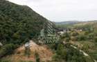 Teren de vanzare, 5000mp, cu iesire la rau, in Borlova, Muntele Mic - 14