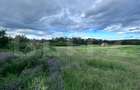 Teren intravilan, 5000 mp, Barsesti - 2