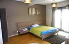 Penthouse spațios cu 3 dormitoare lângă Parcul Herăstrău - 14