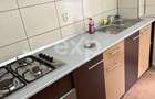 Apartament 2 camere, Parter, Banat - 5