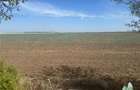 Vanzare teren intravilan construibil , Branesti-Ilfov, 7100 mp, ideal rezidenta - 1