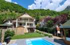 Casă de vacanță în inima naturii – Râmeț, Valea Mănăstirii - 1