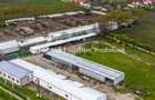 Hale depozitare/producție 2.000 mp si 10.000 mp teren în Pecica - 2