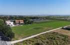 Teren Stupini, Ideal dezvoltare imobiliara - 4
