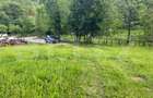 Teren intravilan ,5.800 mp, zona Hatagan - 2