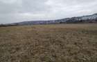 Teren Intravilan de vânzare, 4300mp, front 25 ml, Borhanci - 4