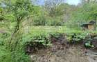Casa de vanzare, 3 camere, 136 mp - Deva - 10