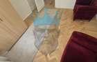 Apartament 2 Camere Floreasca Bucuresti - 10