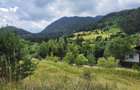 Teren intravilan cu vedere panoramica Sacele, Brasov - 4