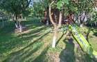 Teren intravilan zona Viile Satu Mare  - 4