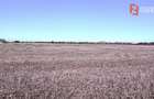 COMISION 0% Teren extravilan 40.000 mp - zona Sanandrei - 4