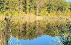 Proprietar vand teren unicat cu deschidere la lacul Caldarusani - 8