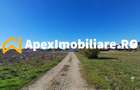 Corbeanca - Tamasi | Teren 1225mp, deschidere 44ml | Utilitati la 50m - 11