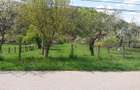 Casa si 3919 mp teren intravilan  in  Bucuresci, jud. Hunedoara - 5