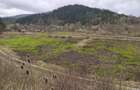 Teren intravilan, 22600mp, zona Manastirea Sucevita - 7