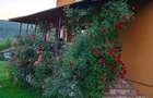 Casă P+E cu teren 1.997 mp, livadă și vie – Coșești, Argeș | 175.000 € - 9
