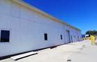 Magurele,hala 1000 mp,constructie noua ,ideal depozitare,productie - 3