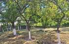 Casa de vanzare cu teren generos de 1.686 mp, Comuna Calarasi, Dolj - 18