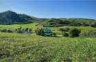 Vand teren intravilan in Sanisor cu suprafata de 4946 mp - 6