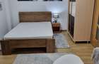 Apartament de inchiriat, 1 cam McDonalds Gara Iasi, 15 min UMF, UAIC, proprietar - 5